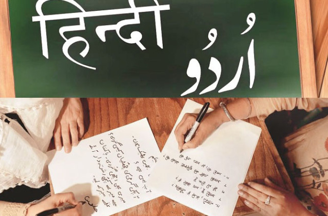زبانوں کی ہم آہنگی پر ڈاکٹر انصاری کا قیمتی مشورہ